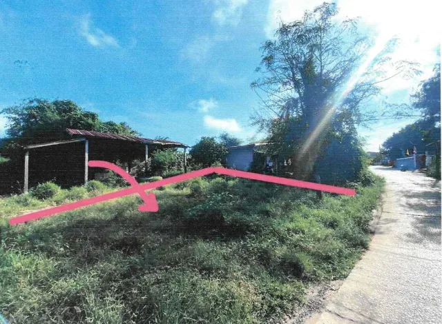 ขายทอดตลาด ที่ดินว่างเปล่า จ.นครราชสีมา