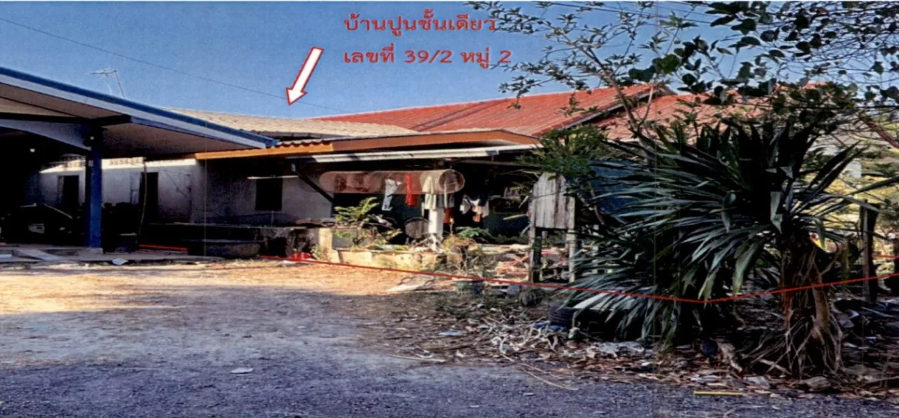 ขายทอดตลาด ที่ดินพร้อมสิ่งปลูกสร้าง ต.ท่าทอง อ.กาญจนดิษฐ์ จ.สุราษฎร์ธานี