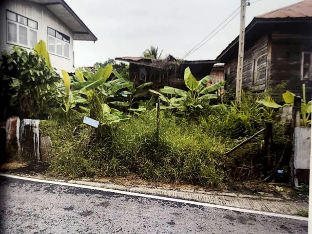 ขายทอดตลาด ที่ดินพร้อมสิ่งปลูกสร้าง ต.สูงเนิน อ.สูงเนิน จ.นครราชสีมา