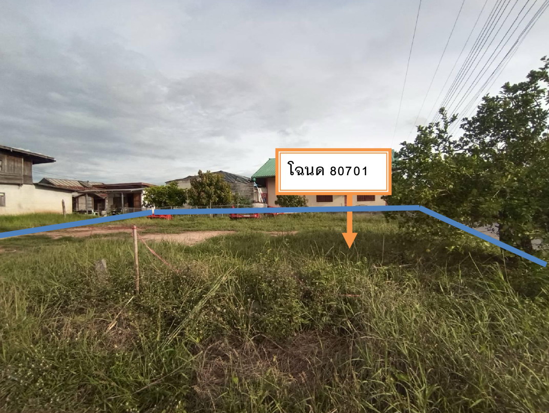 ขายทอดตลาด ที่ดินว่างเปล่า จ.นครราชสีมา