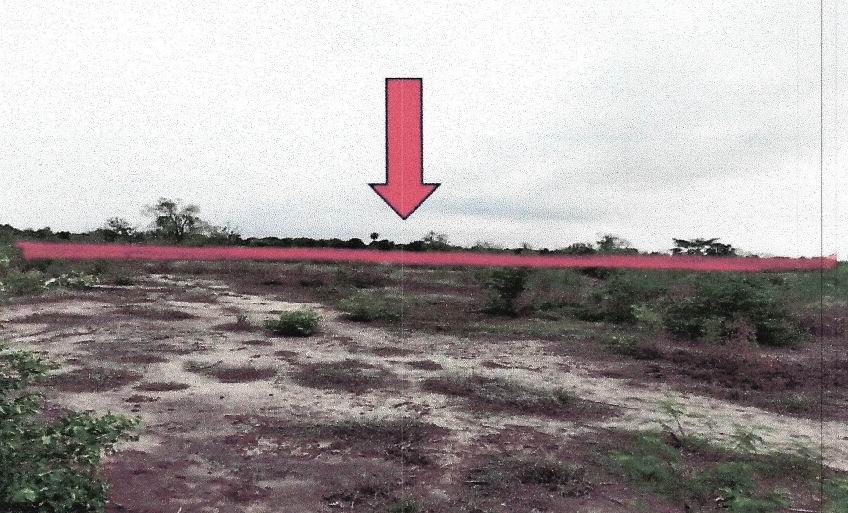 ขายทอดตลาด ที่ดินว่างเปล่า จ.นครราชสีมา