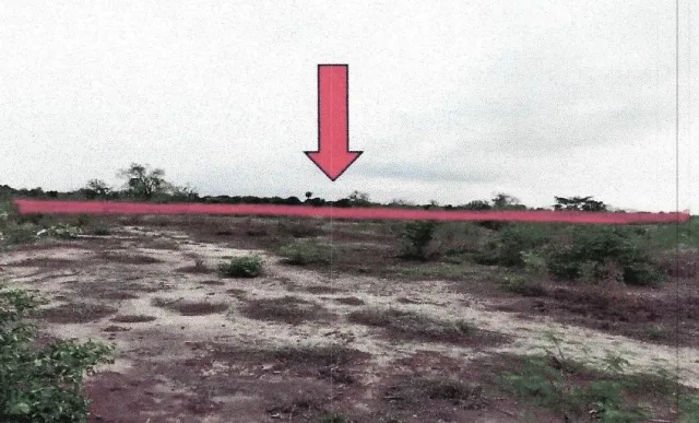 ขายทอดตลาด ที่ดินว่างเปล่า จ.นครราชสีมา