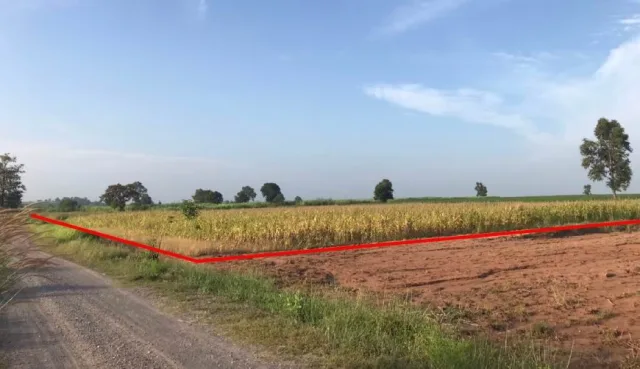 ขายทอดตลาด ที่ดินว่างเปล่า จ.นครราชสีมา