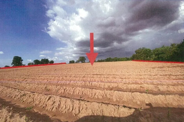 ขายทอดตลาด ที่ดินว่างเปล่า จ.นครราชสีมา