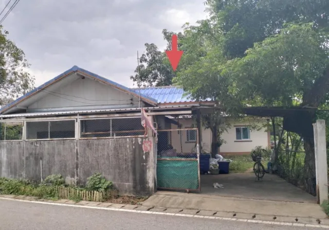 ขายทอดตลาด ที่ดินพร้อมสิ่งปลูกสร้าง ต.โคราช อ.สูงเนิน จ.นครราชสีมา