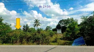 รูปทรัพย์ 2