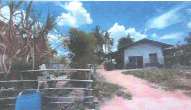 ขายทอดตลาด ที่ดินพร้อมสิ่งปลูกสร้าง ต.หนองกราด อ.ด่านขุนทด จ.นครราชสีมา