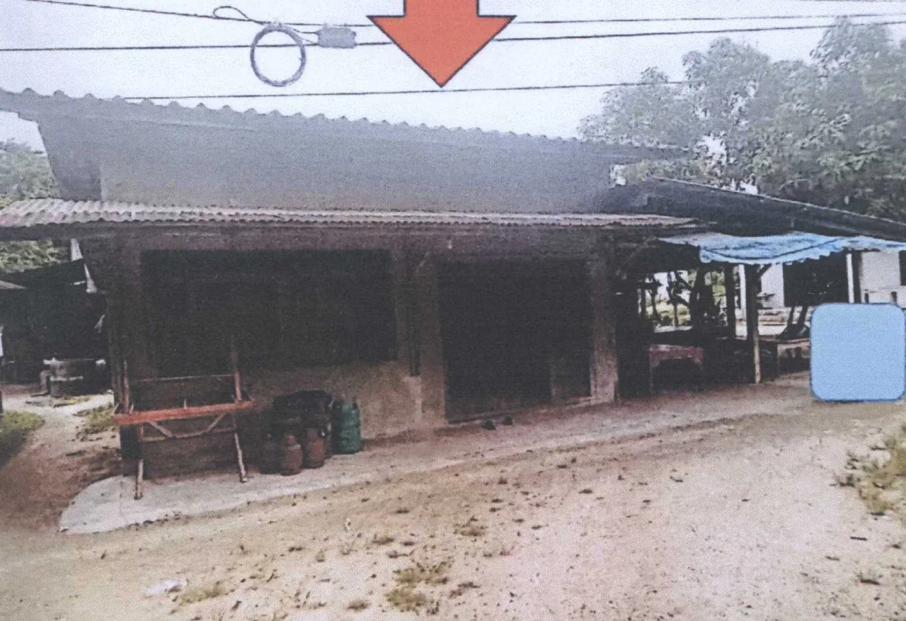 ขายทอดตลาด ที่ดินพร้อมสิ่งปลูกสร้าง ต.ปากู อ.ทุ่งยางแดง จ.ปัตตานี