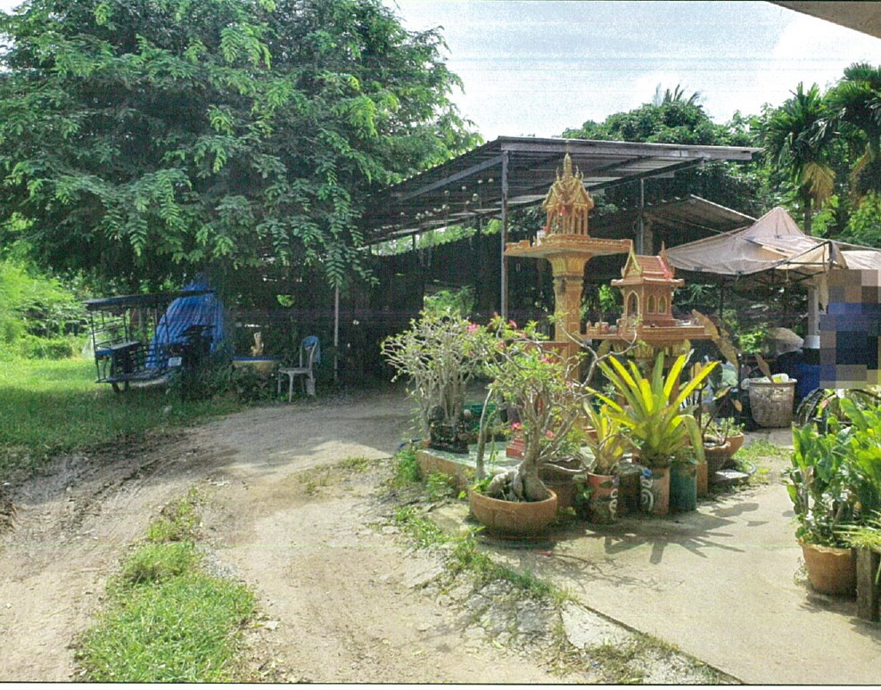 ขายทอดตลาด ที่ดินพร้อมสิ่งปลูกสร้าง ต.มิตรภาพ อ.สีคิ้ว จ.นครราชสีมา