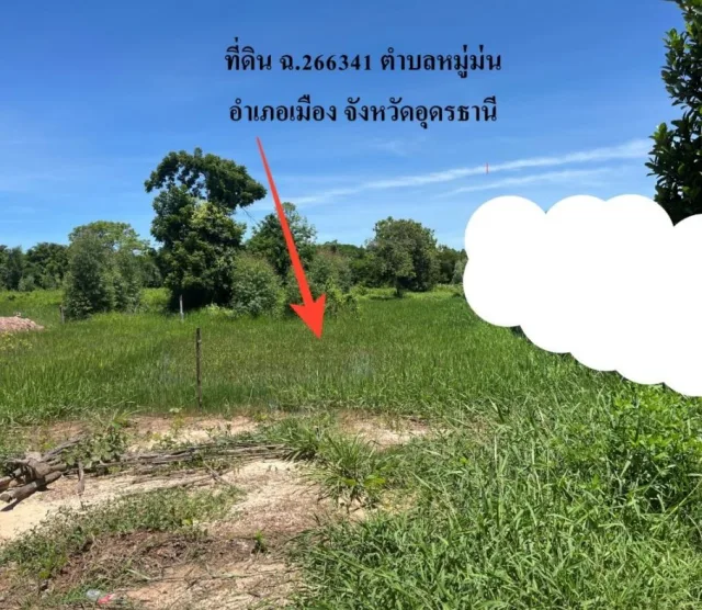 ขายทอดตลาด ที่ดินว่างเปล่า ต.หมูม่น อ.เมืองอุดรธานี จ.อุดรธานี