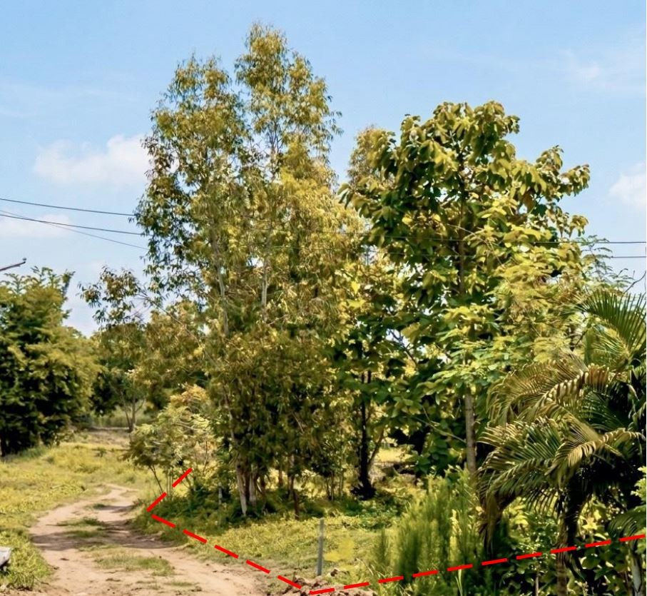ขายทอดตลาด ที่ดินว่างเปล่า ต.ทับกุง อ.หนองแสง จ.อุดรธานี
