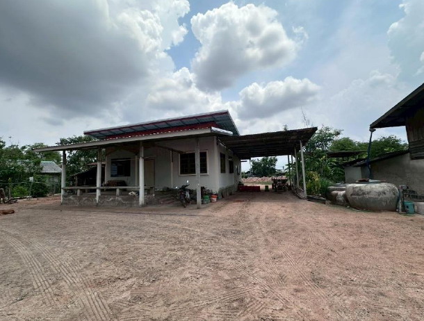 ขายทอดตลาด ที่ดินพร้อมสิ่งปลูกสร้าง ต.ด่านนอก อ.ด่านขุนทด จ.นครราชสีมา