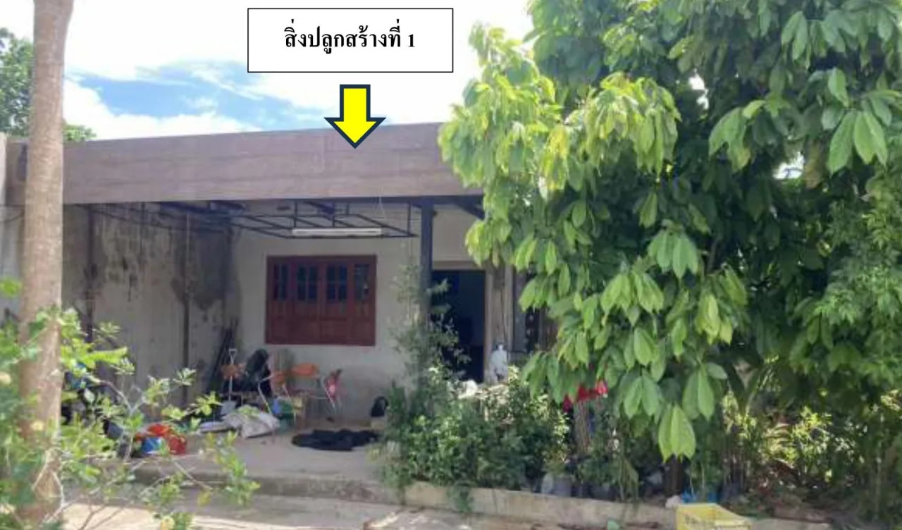 ขายทอดตลาด ที่ดินพร้อมสิ่งปลูกสร้าง ต.เขาตูม อ.ยะรัง จ.ปัตตานี
