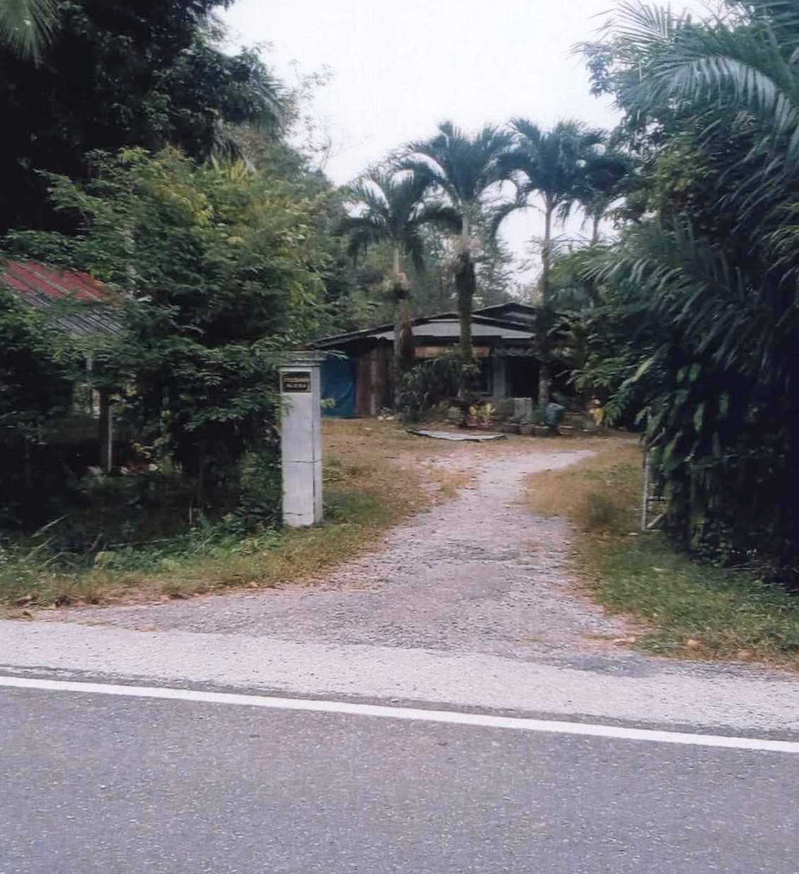 ขายทอดตลาด ที่ดินพร้อมสิ่งปลูกสร้าง ต.ท่าเรือ อ.โคกโพธิ์ จ.ปัตตานี
