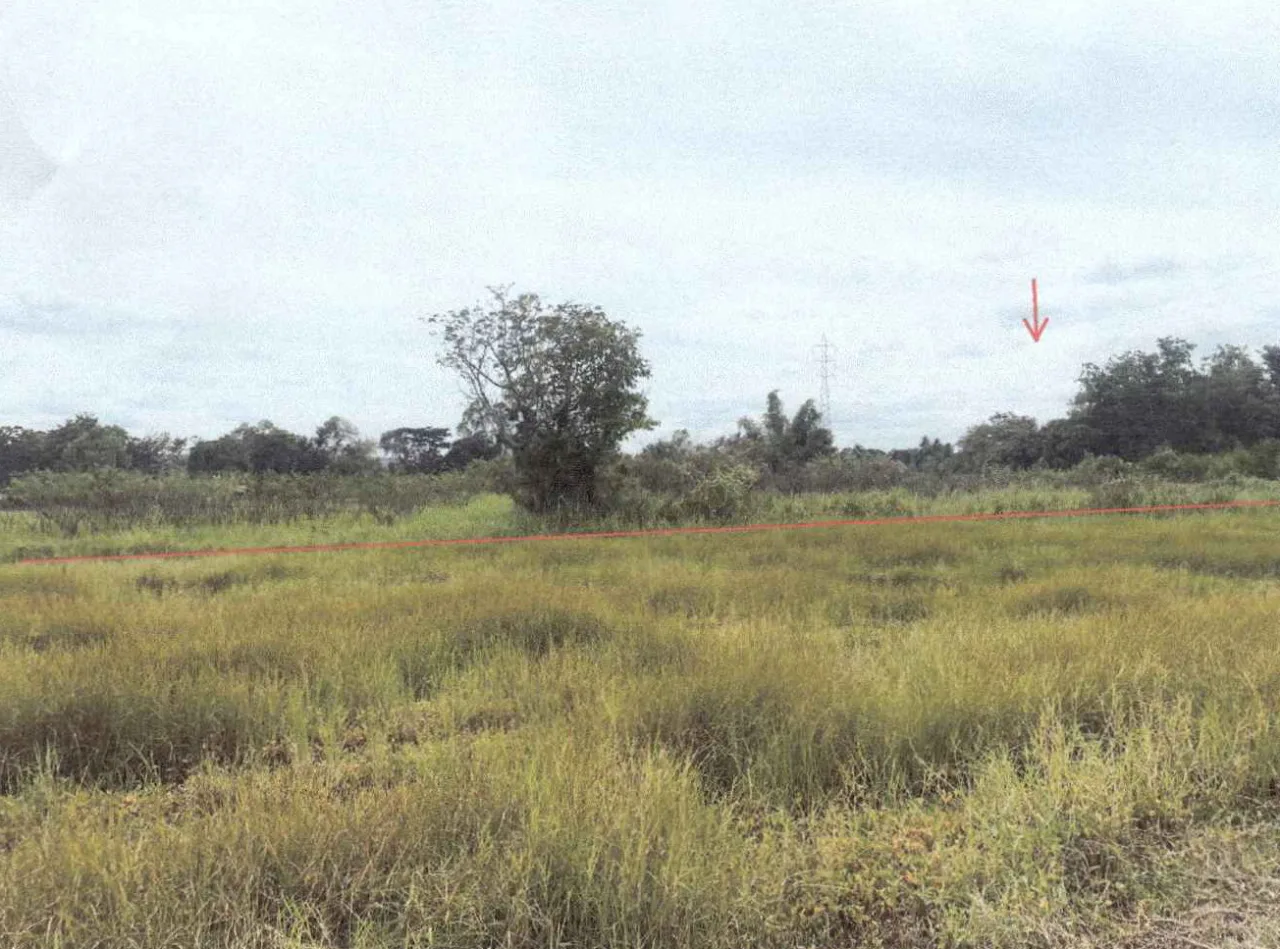 ขายทอดตลาด ที่ดินว่างเปล่า จ.นครราชสีมา