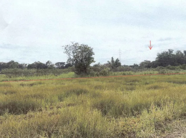 ขายทอดตลาด ที่ดินว่างเปล่า จ.นครราชสีมา