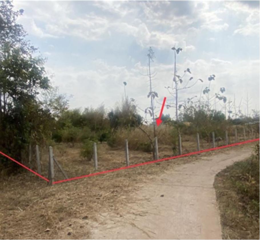 ขายทอดตลาด ที่ดินว่างเปล่า ต.สร้างแป้น อ.เพ็ญ จ.อุดรธานี