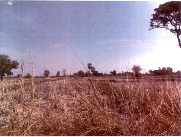 ขายทอดตลาด ที่ดินว่างเปล่า ต.สะแบง อ.หนองหาน จ.อุดรธานี