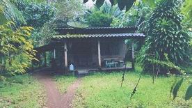 ขายทอดตลาด ที่ดินพร้อมสิ่งปลูกสร้าง ต.นาชุมเห็ด อ.ย่านตาขาว จ.ตรัง