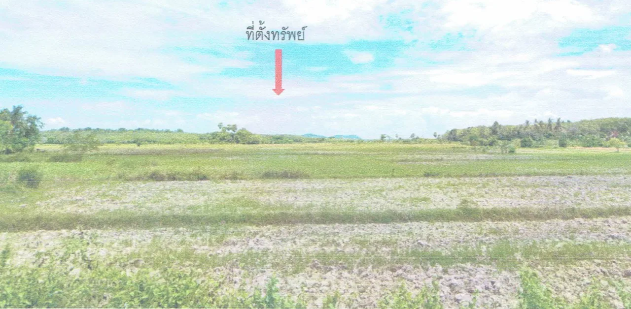 ขายทอดตลาด ที่ดินว่างเปล่า ต.ปุโละปุโย อ.หนองจิก จ.ปัตตานี