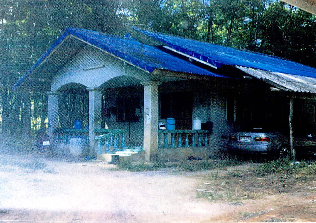 ขายทอดตลาด ที่ดินพร้อมสิ่งปลูกสร้าง ต.ช้างขวา อ.กาญจนดิษฐ์ จ.สุราษฎร์ธานี