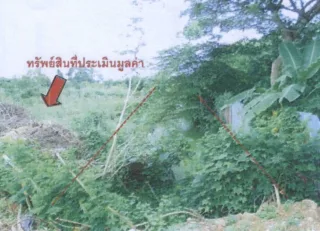 รูปทรัพย์ 2