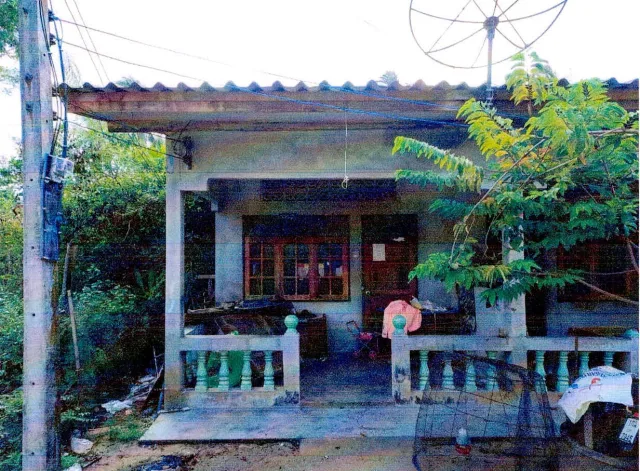 ขายทอดตลาด ที่ดินพร้อมสิ่งปลูกสร้าง ต.ตุยง อ.หนองจิก จ.ปัตตานี