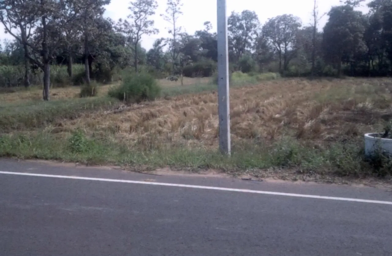 ขายทอดตลาด ที่ดินว่างเปล่า จ.อำนาจเจริญ