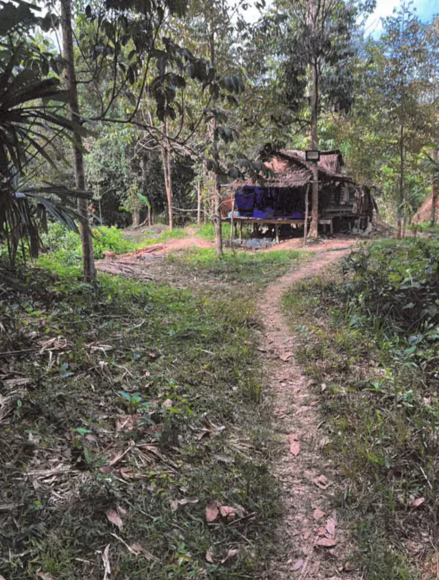 ขายทอดตลาด ที่ดินว่างเปล่า ต.ปล่องหอย อ.กะพ้อ จ.ปัตตานี