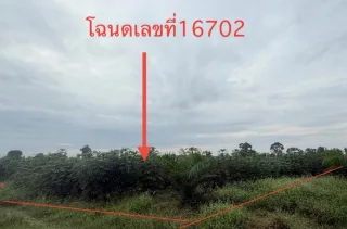 รูปทรัพย์ 10