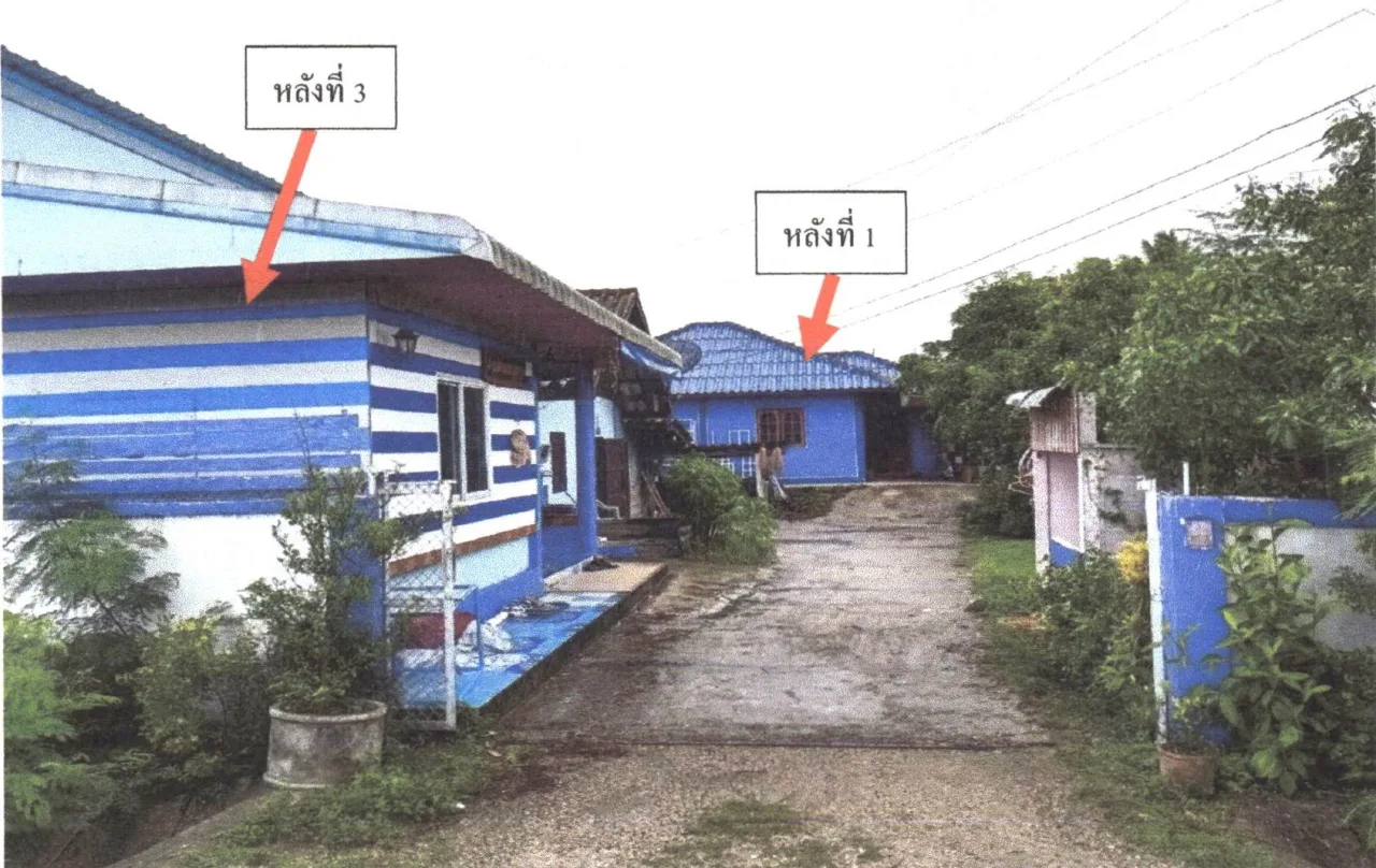 ขายทอดตลาด ที่ดินพร้อมสิ่งปลูกสร้าง ต.เจดีย์หลวง อ.แม่สรวย จ.เชียงราย