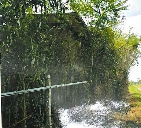 ขายทอดตลาด ที่ดินพร้อมสิ่งปลูกสร้าง ต.บึงศาล อ.องครักษ์ จ.นครนายก