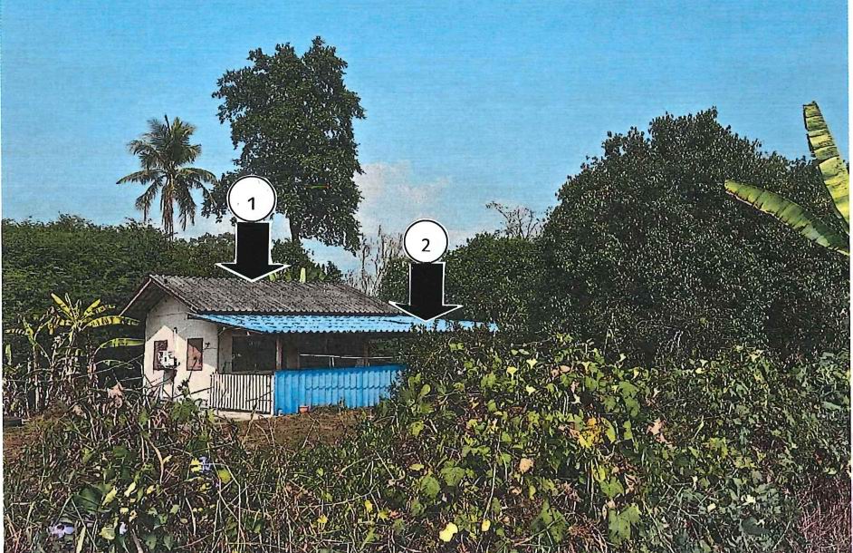 ขายทอดตลาด ที่ดินพร้อมสิ่งปลูกสร้าง ต.สาริกา อ.เมืองนครนายก จ.นครนายก