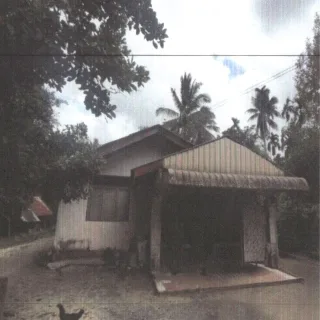 รูปทรัพย์ 1