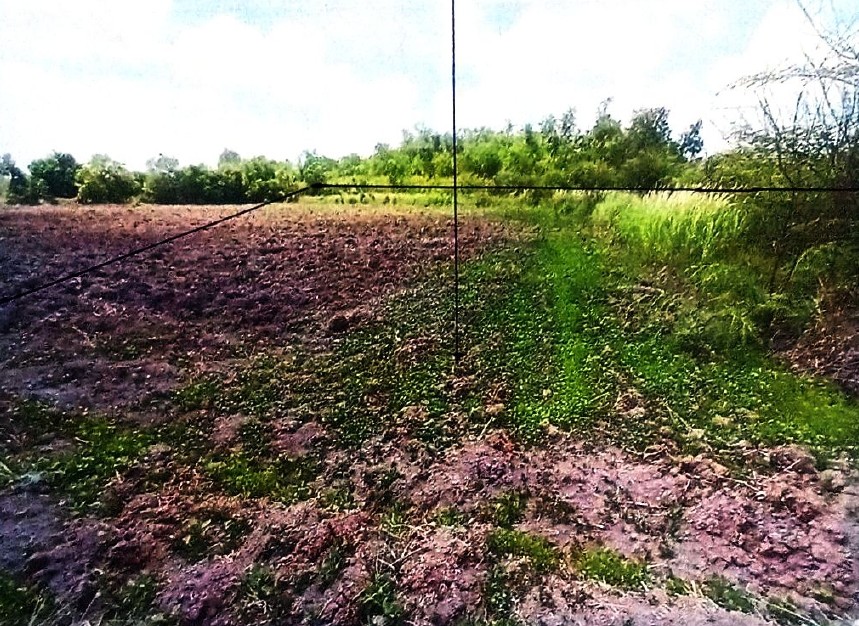 ขายทอดตลาด ที่ดินว่างเปล่า จ.นครนายก