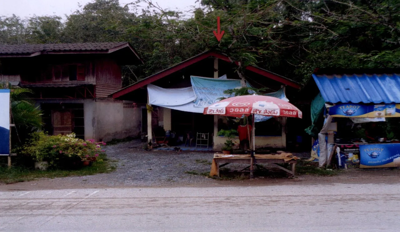 ขายทอดตลาด ที่ดินพร้อมสิ่งปลูกสร้าง ต.หานโพธิ์ อ.เขาชัยสน จ.พัทลุง