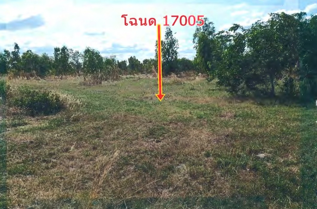 ขายทอดตลาด ที่ดินว่างเปล่า จ.อำนาจเจริญ