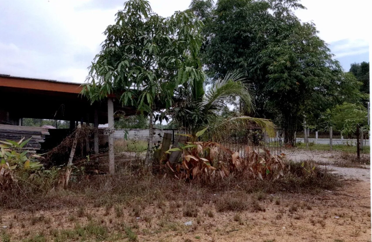 ขายทอดตลาด ที่ดินพร้อมสิ่งปลูกสร้าง ต.วังใหม่ อ.ป่าบอน จ.พัทลุง