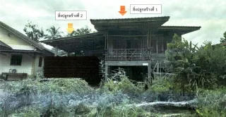 รูปทรัพย์ 2