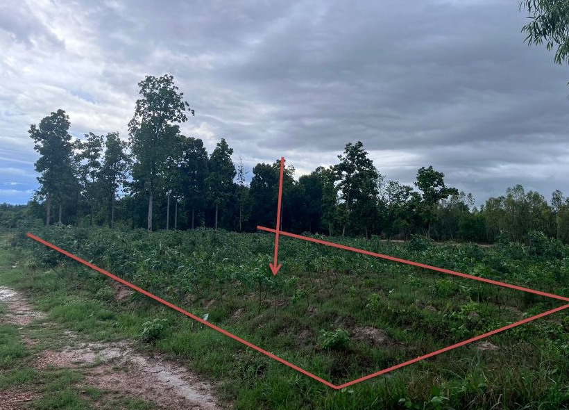 ขายทอดตลาด ที่ดินว่างเปล่า ต.ดงเมืองแอม อ.เขาสวนกวาง จ.ขอนแก่น