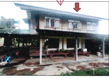 ขายทอดตลาด ที่ดินพร้อมสิ่งปลูกสร้าง ต.ลือ อ.ปทุมราชวงศา จ.อำนาจเจริญ