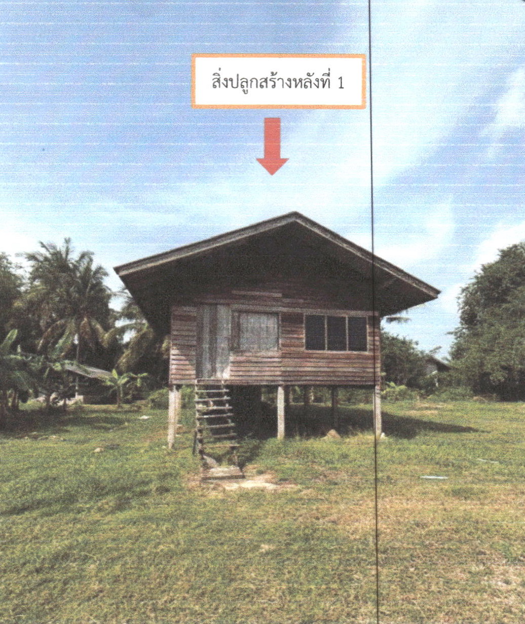 ขายทอดตลาด ที่ดินพร้อมสิ่งปลูกสร้าง ต.ลำปำ อ.เมืองพัทลุง จ.พัทลุง