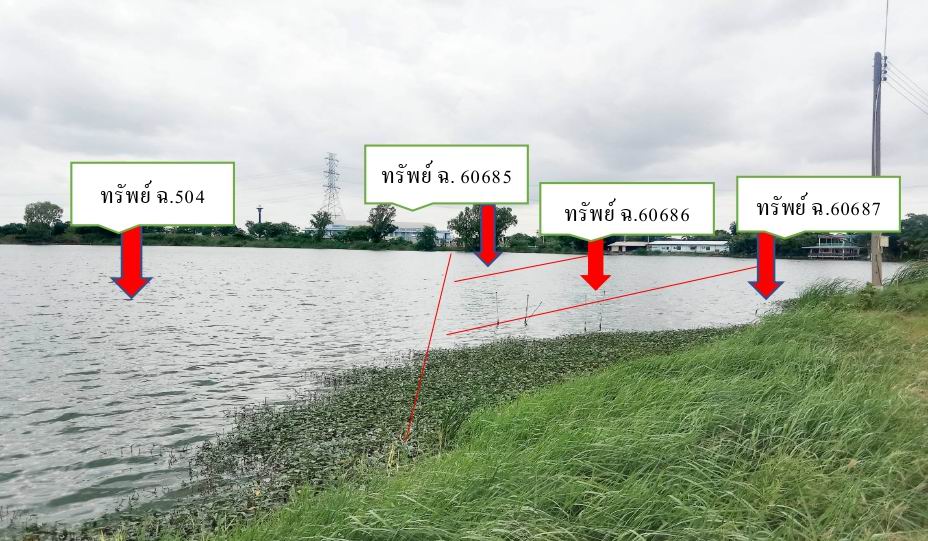 ขายทอดตลาด ที่ดินว่างเปล่า จ.นครปฐม