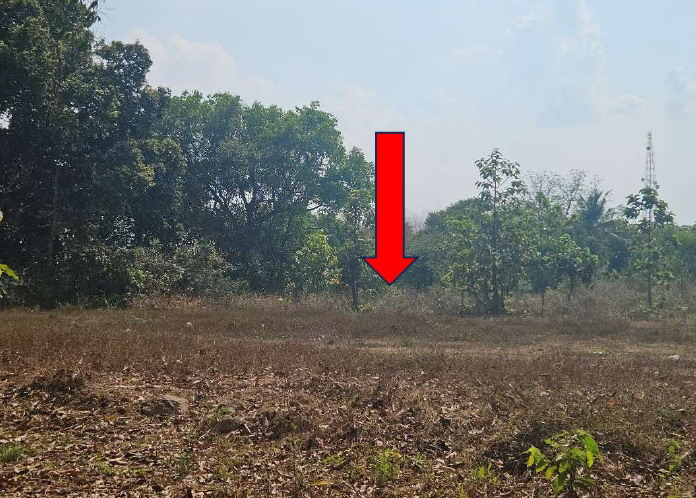 ขายทอดตลาด ที่ดินว่างเปล่า จ.อำนาจเจริญ