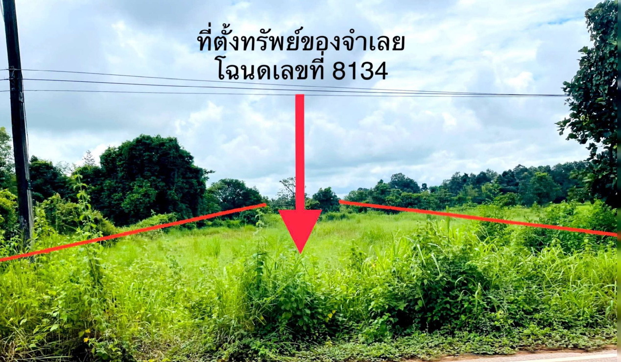 ขายทอดตลาด ที่ดินว่างเปล่า จ.อำนาจเจริญ
