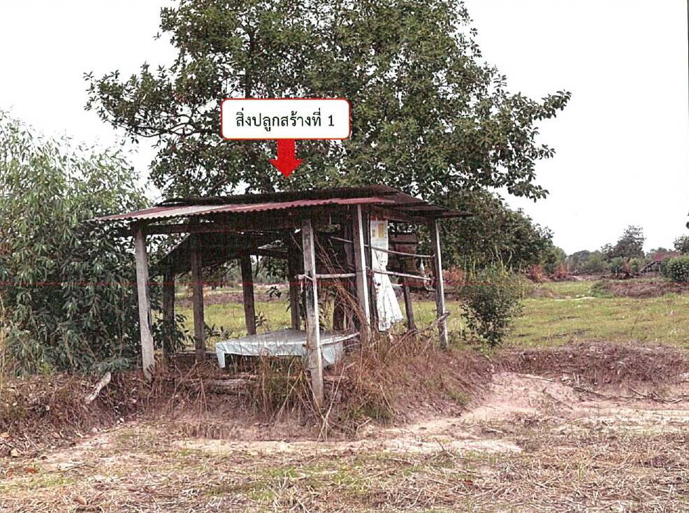 ขายทอดตลาด ที่ดินพร้อมสิ่งปลูกสร้าง ต.ดงมะยาง อ.ลืออำนาจ จ.อำนาจเจริญ