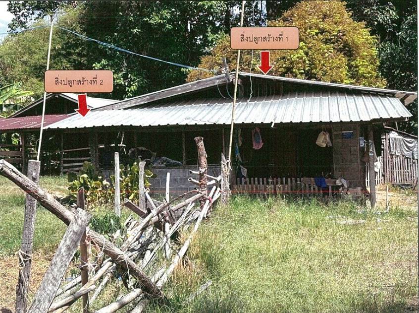 ขายทอดตลาด ที่ดินพร้อมสิ่งปลูกสร้าง ต.น้ำปลีก อ.เมืองอำนาจเจริญ จ.อำนาจเจริญ