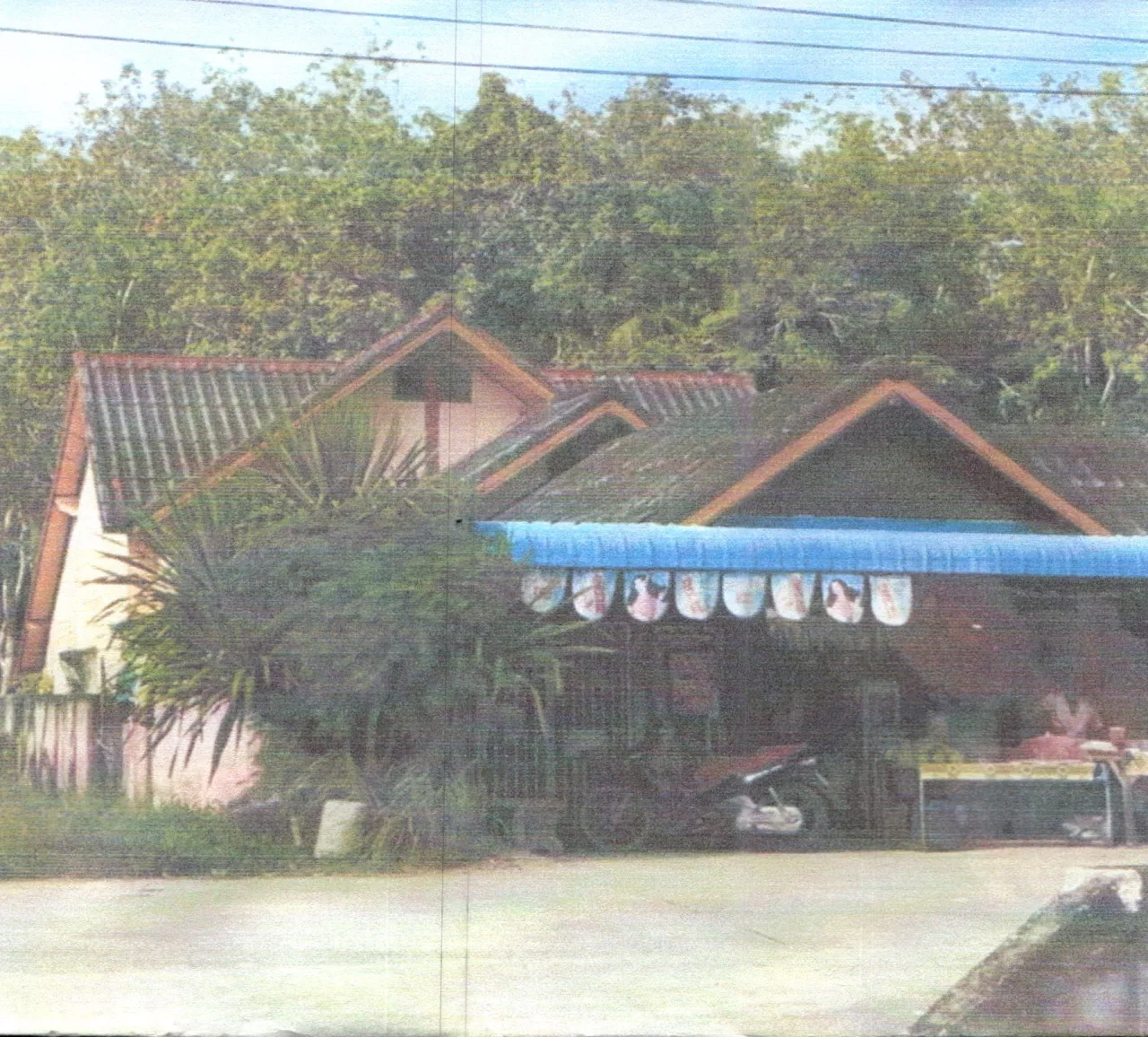 ขายทอดตลาด ที่ดินพร้อมสิ่งปลูกสร้าง ต.ท่ามะเดื่อ อ.กิ่งอำเภอบางแก้ว จ.พัทลุง