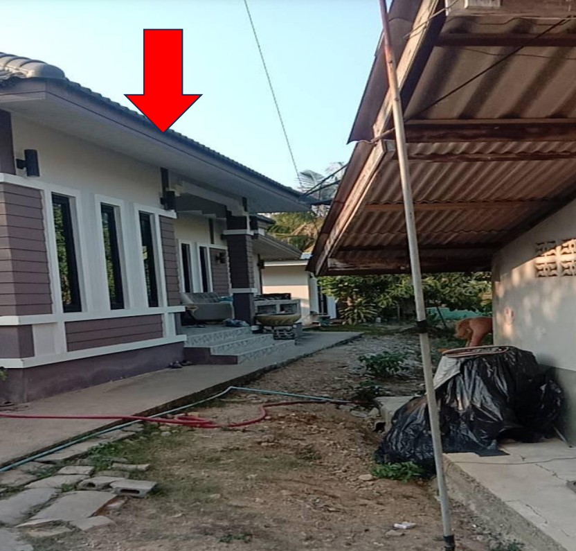 ขายทอดตลาด ที่ดินพร้อมสิ่งปลูกสร้าง ต.บ้านหลวง อ.ดอนตูม จ.นครปฐม