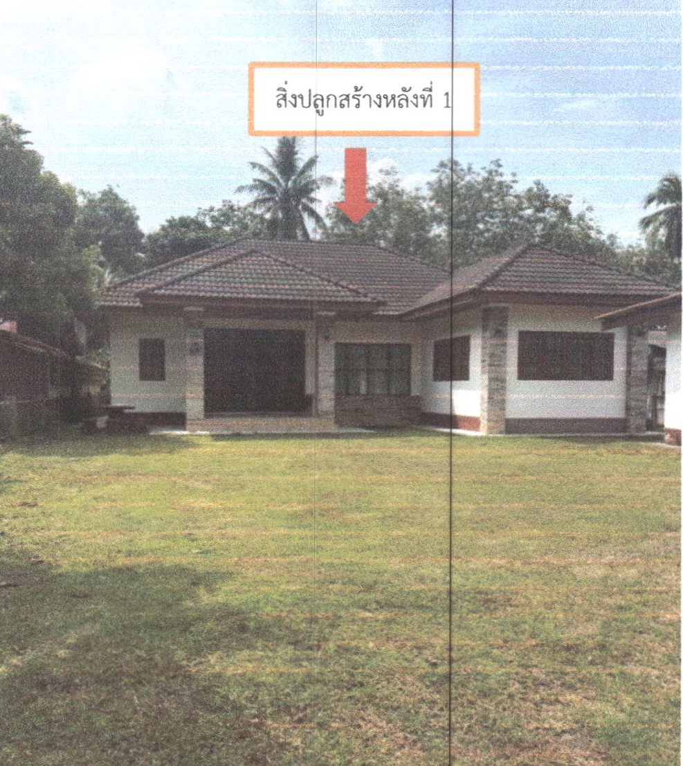 ขายทอดตลาด ที่ดินพร้อมสิ่งปลูกสร้าง ต.นาท่อม อ.เมืองพัทลุง จ.พัทลุง